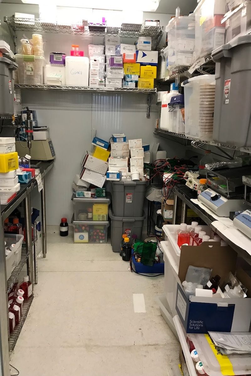 The lab cold room before clean-out and decontamination