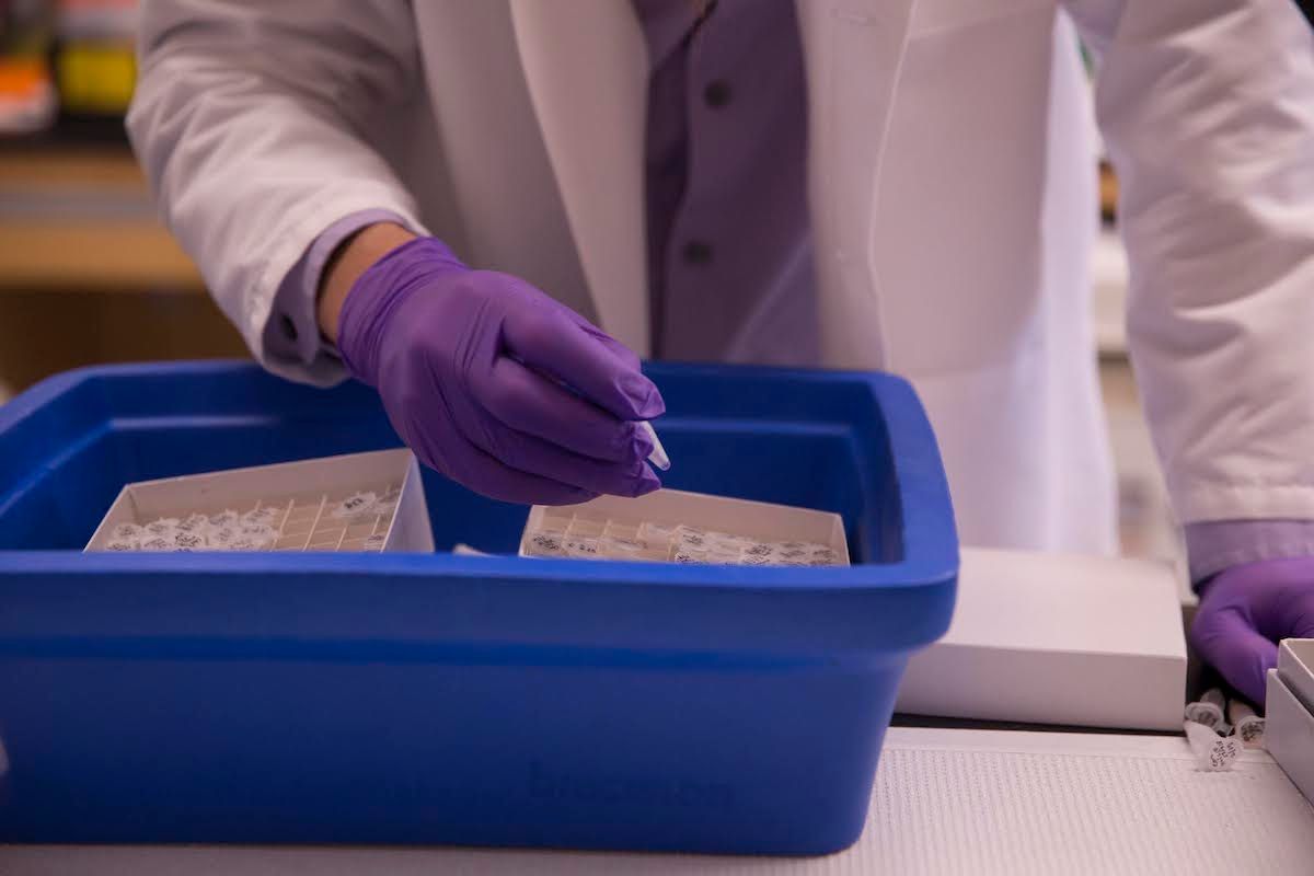 Brendon Smith's hands at postdoc lab bench at Harvard