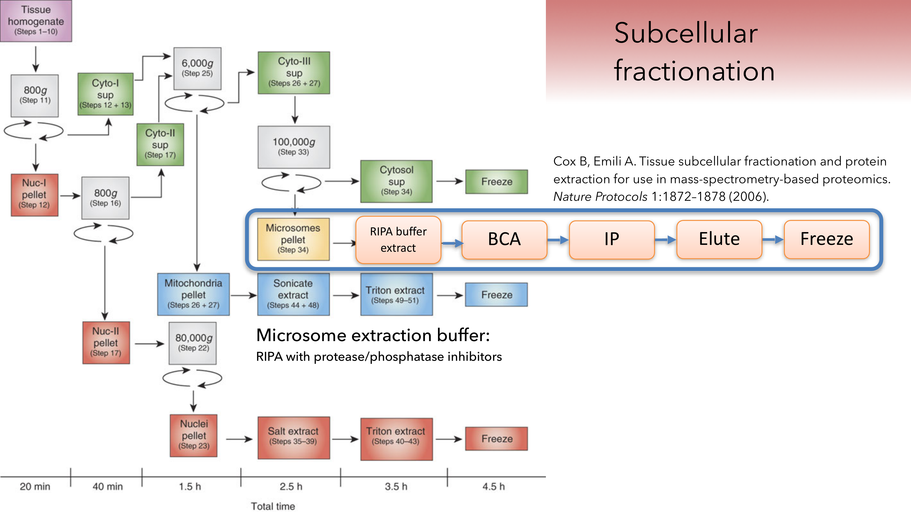 Fractionation procedure