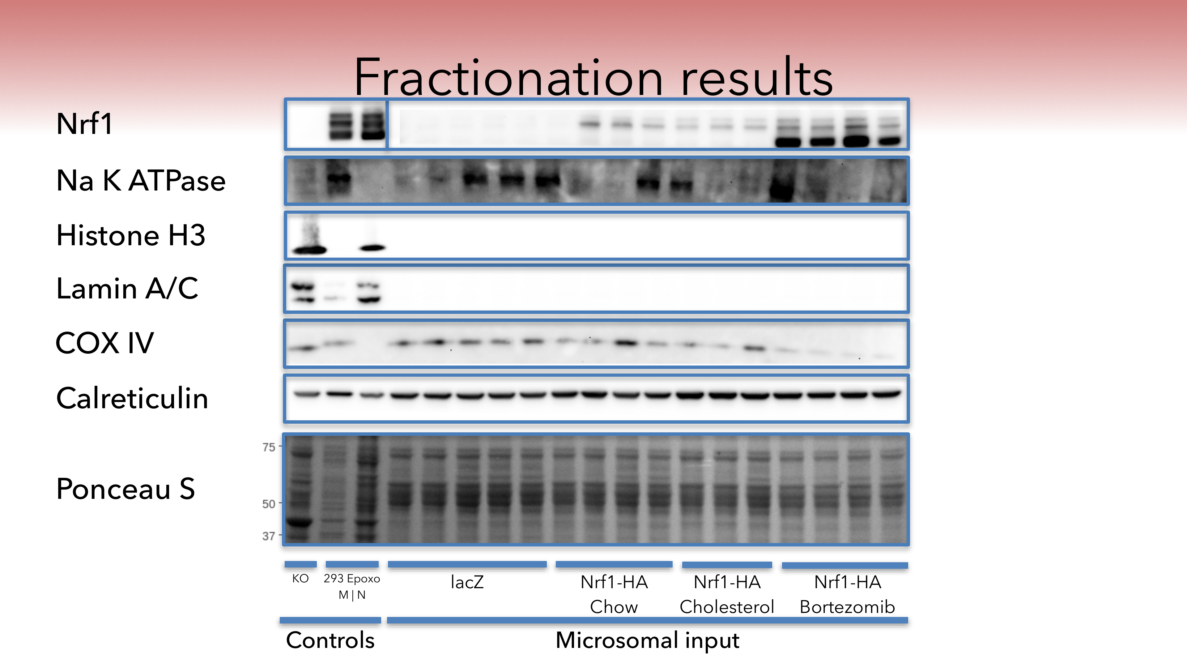 Fractionation results