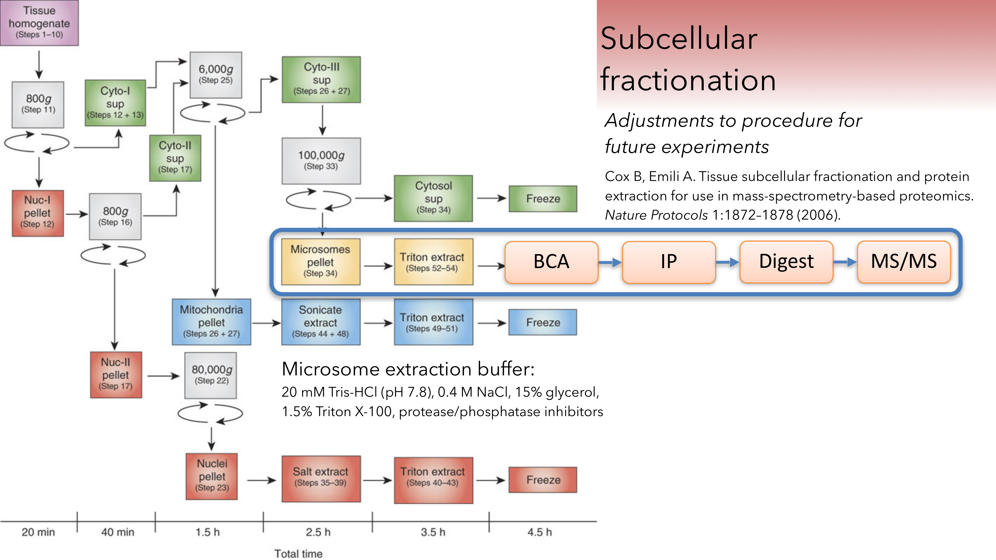 Nrf1 proteomics next steps for the fractionation procedure